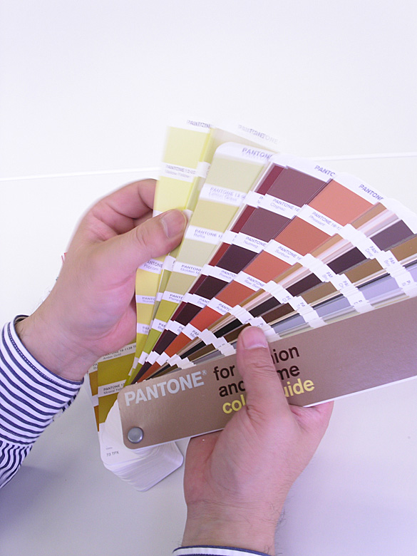 pantone_fh_color_guide-006.jpg