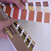 pantone_fh_color_guide-008.jpg