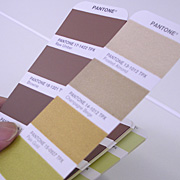 pantone_fh_color_guide-009.jpg