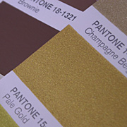 pantone_fh_color_guide-010.jpg