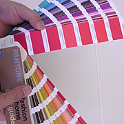 pantone_fh_color_guide-014.jpg