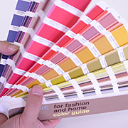 pantone_fh_color_guide-018.jpg