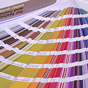 pantone_fh_color_guide-021.jpg