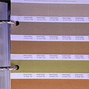 pantone_fh_specifier-028.jpg