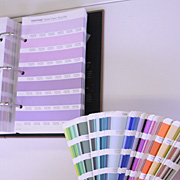 pantone_fh_sp_guide-012.jpg