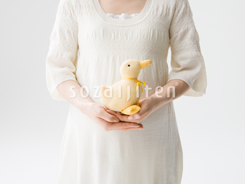 ヒヨコのぬいぐるみを持つ妊婦 Kq076 Jpg 写真素材